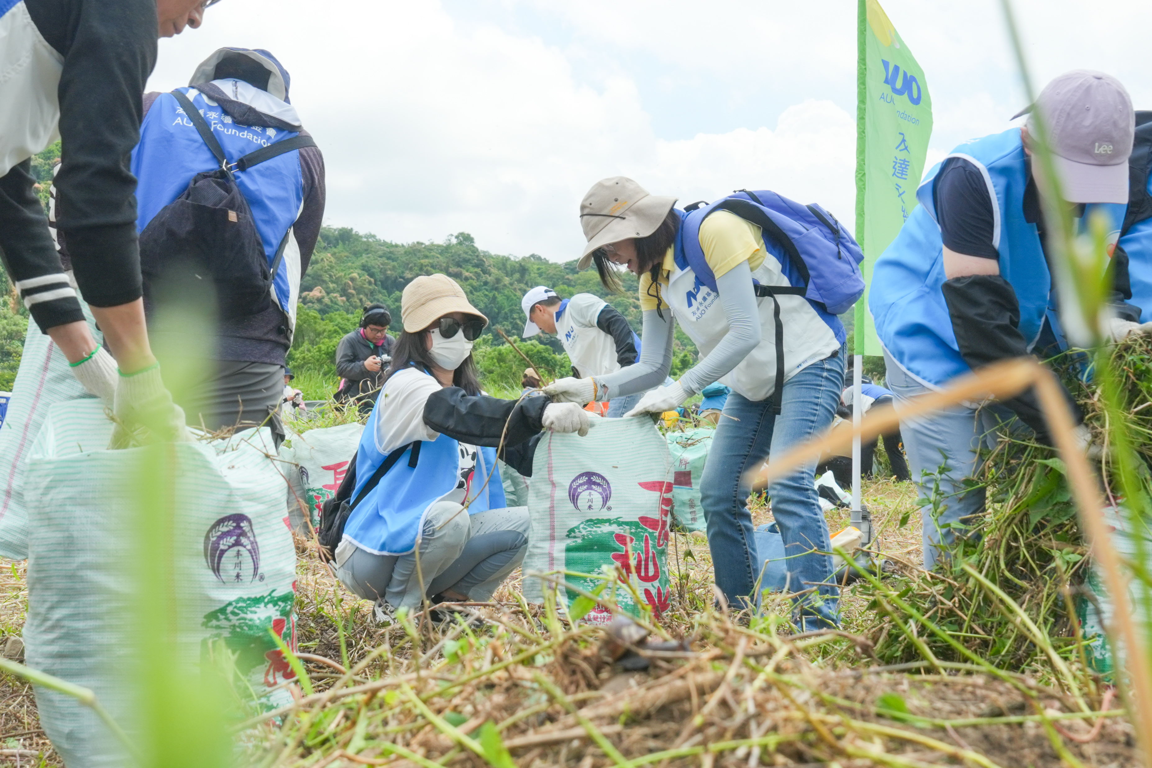 東升國際除蔓防治計畫，除了鎖定霄裡溪沿岸3.2公里移除外來入侵種小花蔓澤蘭，並進行物種與空拍調查，共記錄91科181屬239種維管束植物，顯示該區域具高度生態價值